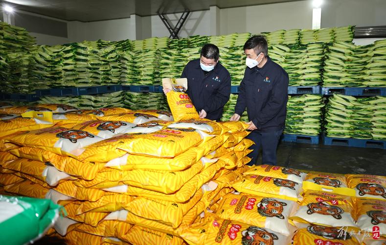 光明农发集团市区大米生产线增能20%,保障大米供应