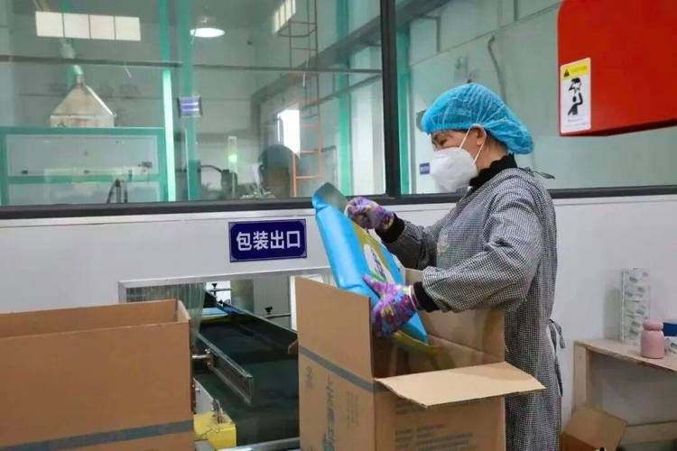 基地统一供种,统一育秧,成熟后由大米加工厂保