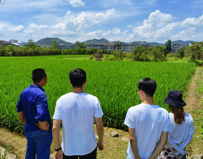 三下乡|商学院研究生帮扶团助力发展咸宁市通山县农业合作社