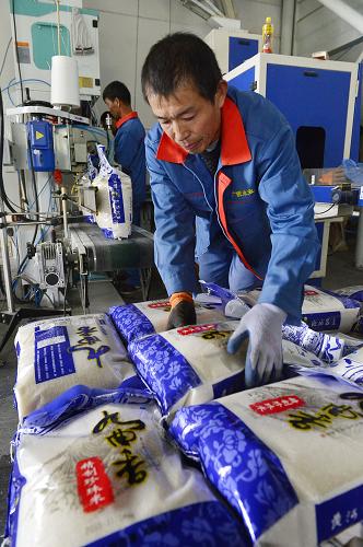 宁夏各地进入秋粮集中收购加工旺季